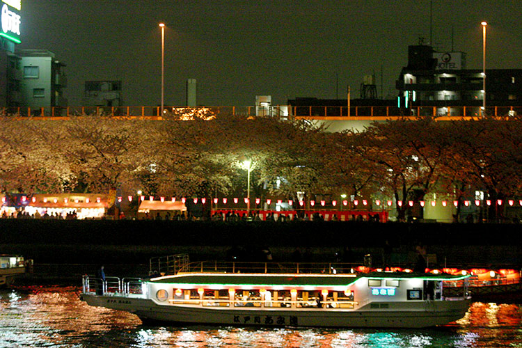 屋形船から夜桜