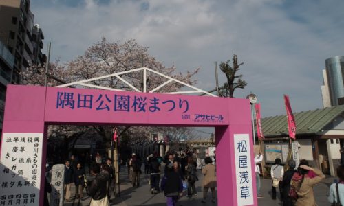 隅田公園桜まつり会場入口