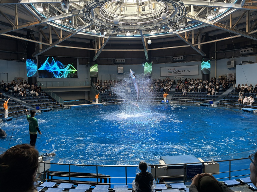 マクセルアクアパーク品川のイルカのショー