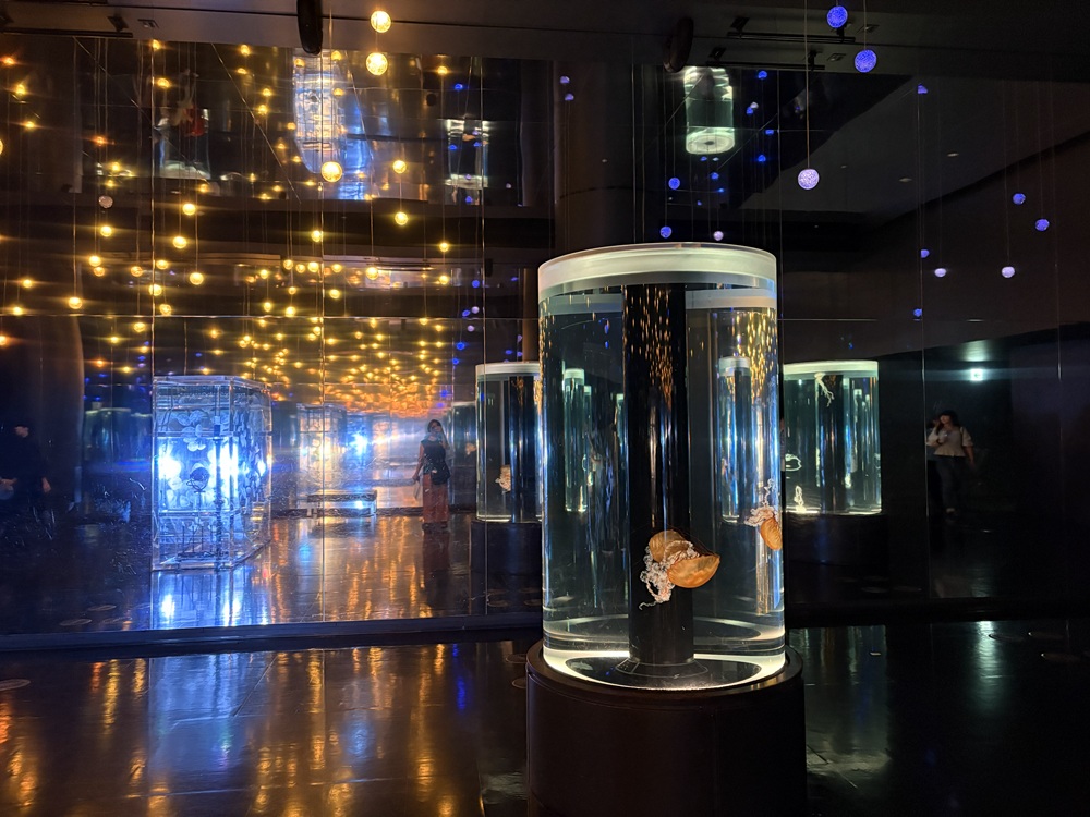 ジェリーフィッシュランブル