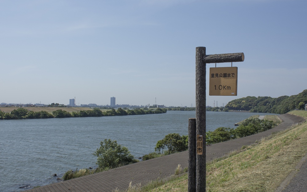 江戸川の風景