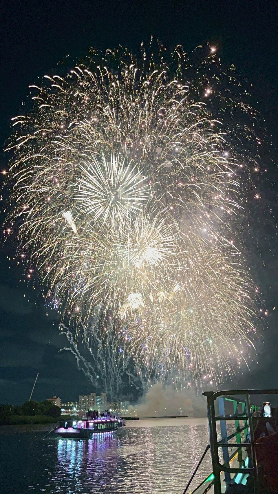 開始数秒で約1,000発の花火が一斉に打ち上がる名物演出オープニング