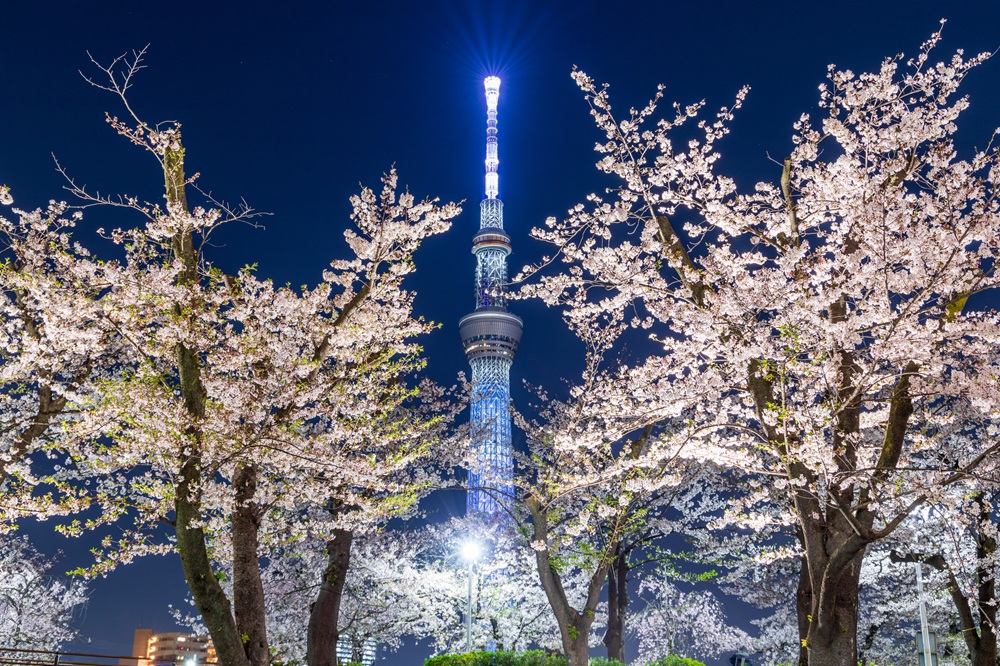 夜のライトアップと東京スカイツリー
