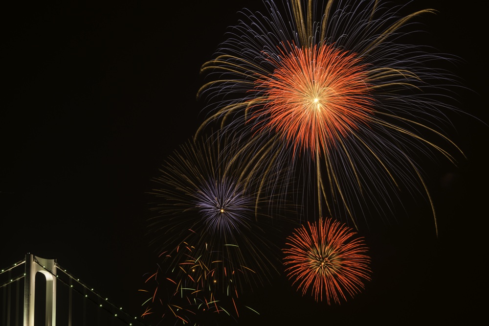 屋形船なら打ち上げのそばまで