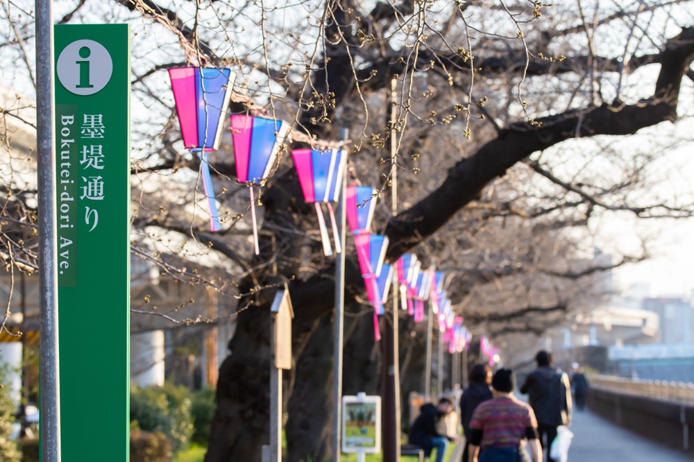墨堤さくらまつり