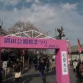 台東区側は「隅田公園桜まつり」!屋形船からも賑わいが見えます。2026年は3月15日(日)から4月5日(日)の予定で開催