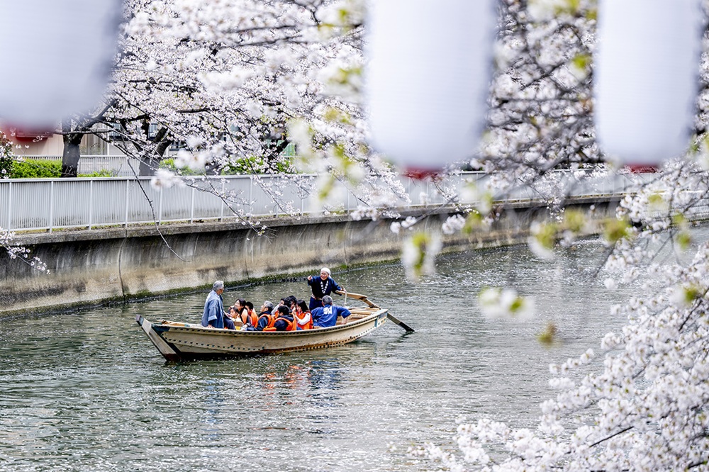 「お江戸深川さくらまつり」